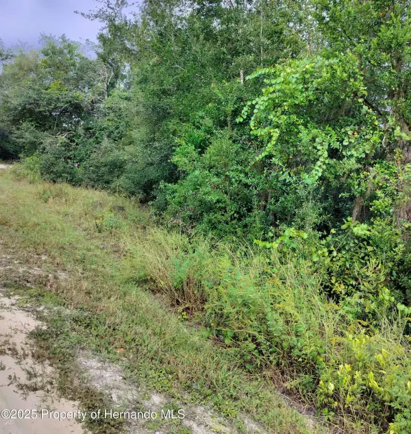 0 Harmony Drive, Ridge Manor, FL, 33523