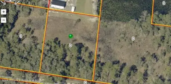 33467 West Boulevard, Webster, FL, 33597