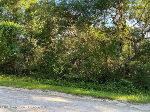 34085 Arrowrock Street, Webster, FL, 33597