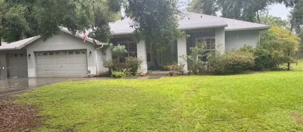 12216 Anne Kenia Drive, Thonotosassa, FL, 33592