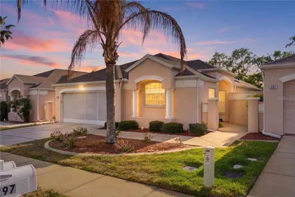295 Royal Palm Way, Spring Hill, FL, 34608