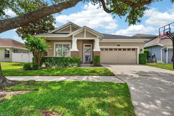 5017 Torrey Hills Lane, Lutz, FL, 33558