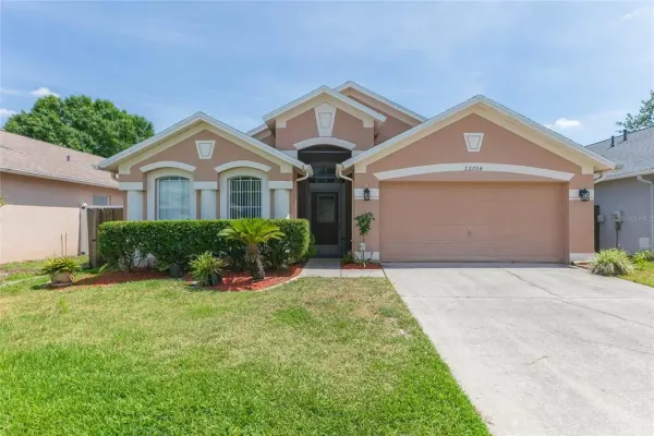 22704 Roderick Drive, Land O Lakes, FL, 34639
