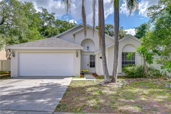 2512 Gotham Way, Valrico, FL, 33594